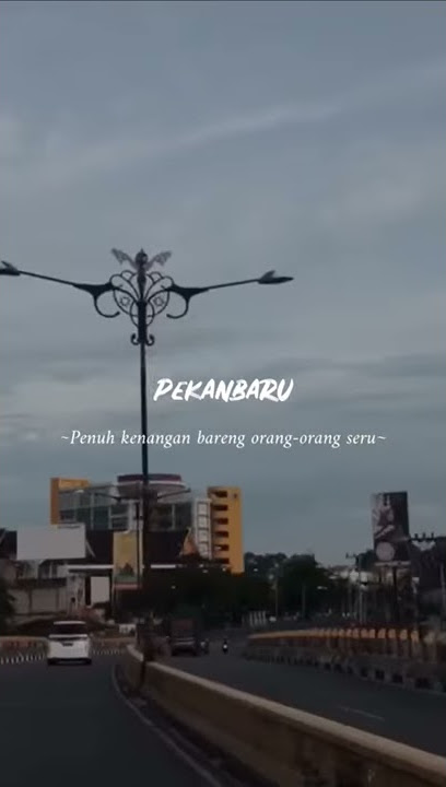 Story wa kota pekanbaru riau