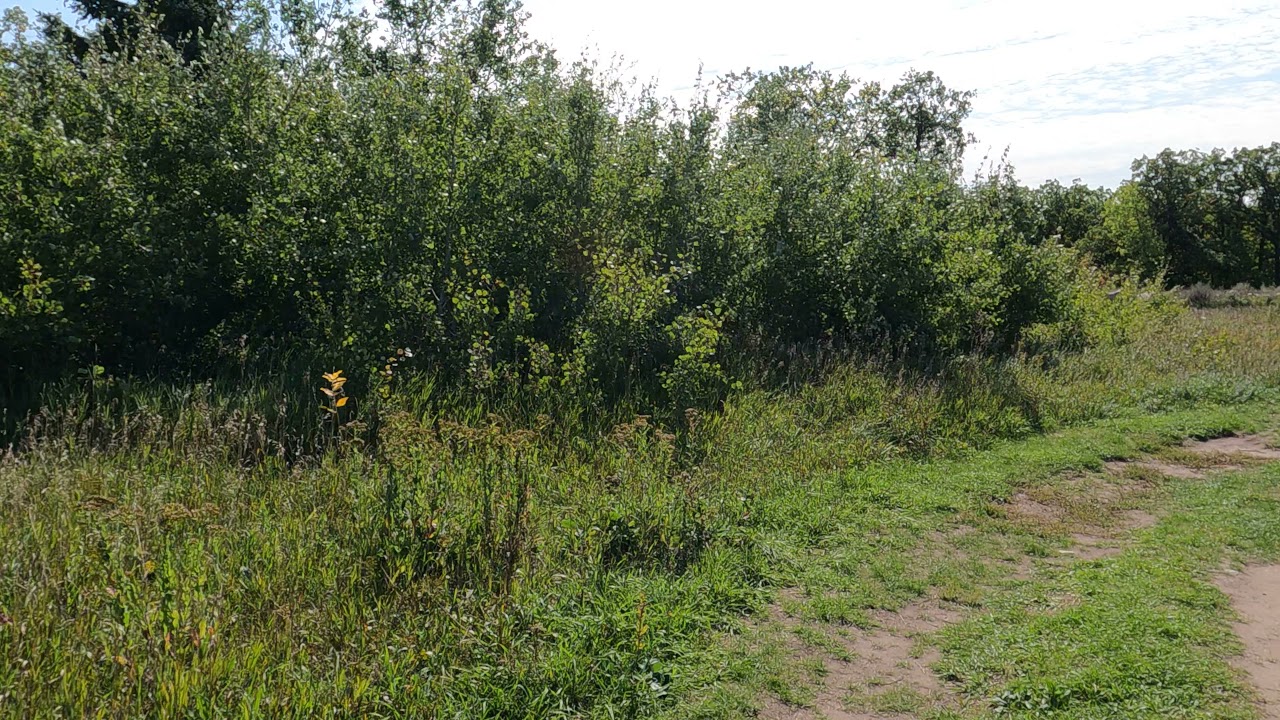 Crow Wing Trail Saint Malo Manitoba 21 Sep M Youtube Crow Wing Trail Saint Malo Manitoba 21 Sep M Youtube