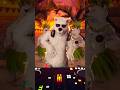 Feel the Rhythm! 🐻❄️🎧 Sunset Beach Party #3DAnimation