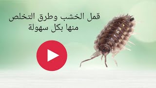 قمل الخشب/ طرق التخلص منه بكل سهولة Wood lice / ways to get rid of them easily