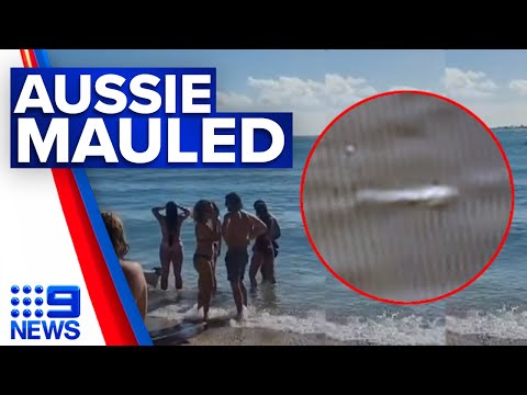 Australian tourist killed by shark in New Caledonia | 9 News Australia