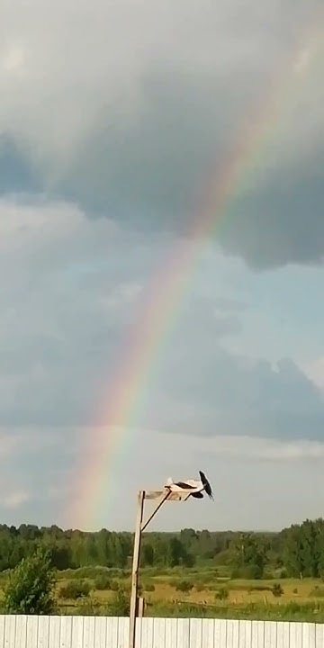 Радуга 🌈 - YouTube