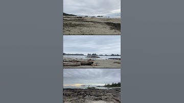 Tofino, BC | Vancouver Island #shorts #tofinobc #fyp #vancouverisland