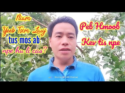Video: Kev Yuav Them Tus Nqi Li Cas Hauv Daim Npav