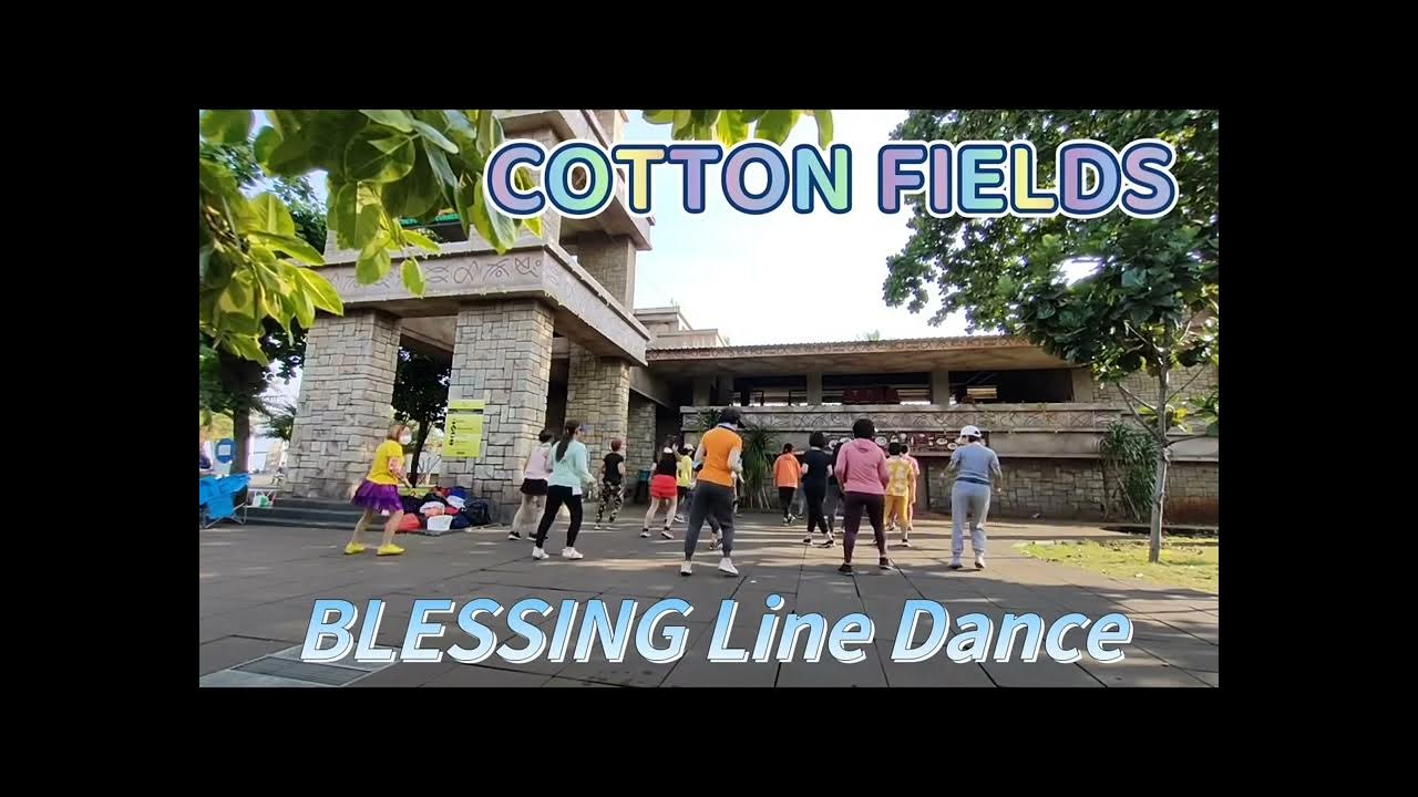COTTON FIELDS Line Dance Beach Food Ancol YouTube