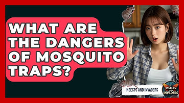 What Are The Dangers Of Mosquito Traps? - Insects and Invaders