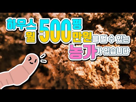 지렁이를 키워 수익을 내는 방법│시골은 지금... ep.22