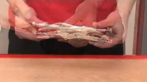 KS Tools 2pc locking hose clamp pliers set