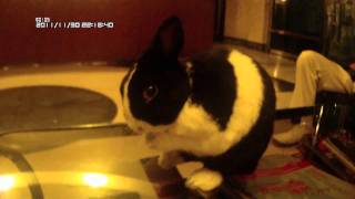 寶寶20101130-1大陸Full HD 1080P DV 試拍1