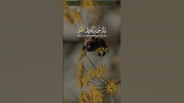 تلاوة من سورة النحل|خالد الجليل  #قرآن #خالد_الجليل