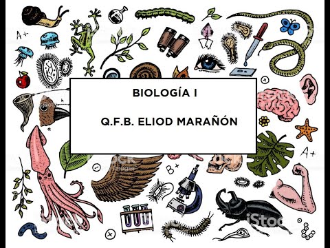 Biología I | Clase 6 | Procesos celulares