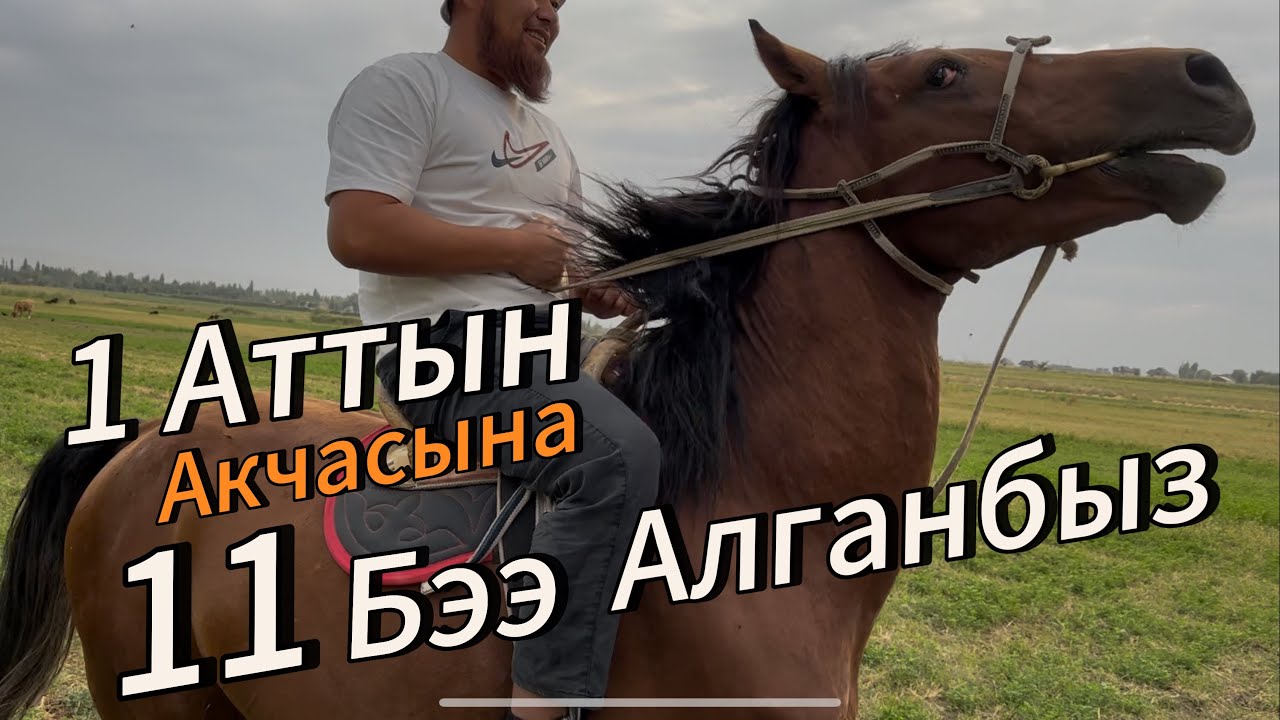 Атасы 690 Минне сатылган +996-221-120-082.   16 сентября 2025 г.