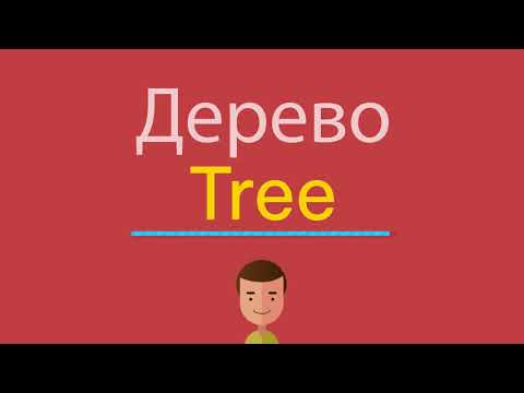 Как будет на английском дерево