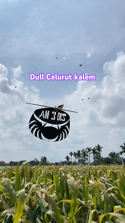 Motif An 3 Dis #kopdar
