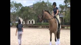 Dressage Trainer Jane Savoie Offers 1 on 1 Help Through Dressage Mentor