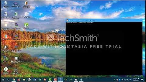 06 - 07 Instalacion LAMP, WEBMIN, DNS y DHCP1 con Ubuntu Server Cliente Windows-Ubuntu