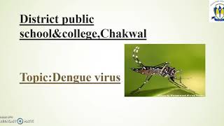 Dengue history , symptoms and Preventing measures.