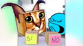 Reto Sí O No Con Floppa Cuadradito Y Circulito