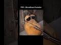 #fortnite #memes