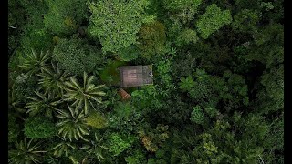 Download Lagu Live Jungle Mix Ubud Bali | Best Afro House \u0026 Melodic Techno DJ Set by Jullisoul 2025 MP3