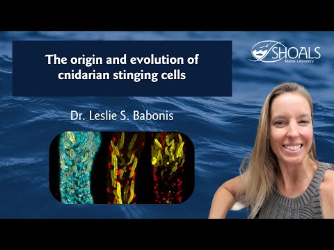Video: Hoe worden stekende cellen genoemd?