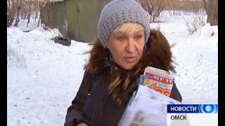 Правила отлова и содержания бродячих собак в Омске изменились Правила отлова и содержания бродячих собак в Омске изменились