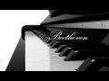 Miniature de la vidéo de la chanson Sonata For Piano No. 8 In C Minor, Op. 13 "Pathétique": Iii. Rondo. Allegro