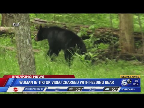 Woman in TikTok video charged with feeding black bear