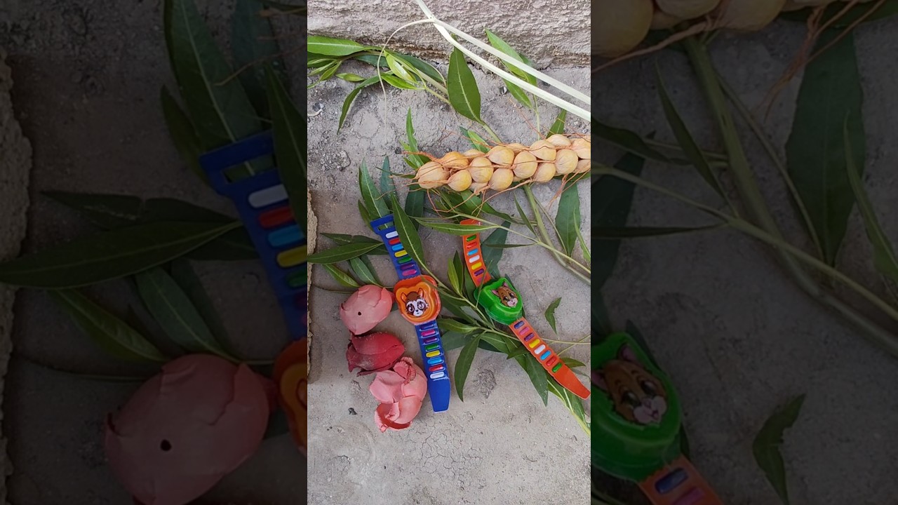 Candy Wali Ghare 🍬🎉 | Sweet Yums for Your Taste Buds!  