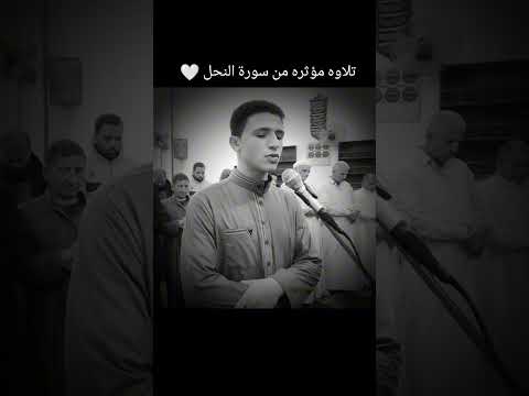 تلاوه مؤثره من سورة النحل من تراويح عام 1445 Shorts Short Status Fypシ Fyp رمضان حالات واتس