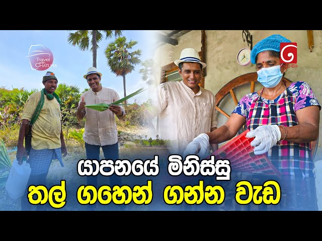 යාපනයේ මිනිස්සු තල් ගහෙන් ගන්න වැඩ | Travel With Chatura