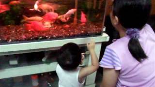 20100529 (2).avi