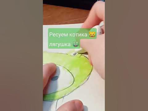 котик 🐱лягушка 🐸 - YouTube