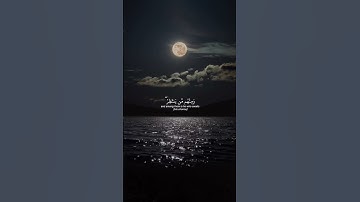 #بدر التركي #سورة الأحزاب 🎧🤍 #قرآن-كريم-راحه-نفسيه 🤍🤍