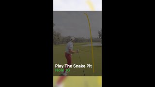 How to Survive the Snake Pit at Innisbrook