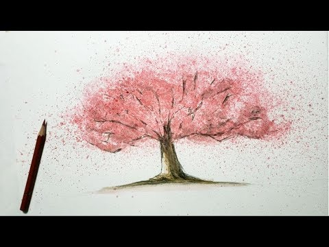 How To Draw Cherry Blossoms With A Water Based Pencil Youtube