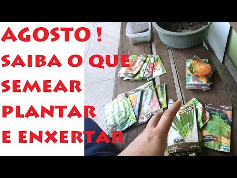 Vídeo: O Que Semear No Jardim Em Agosto