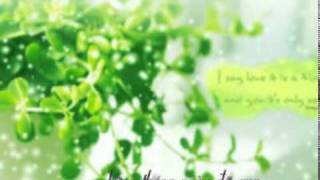 nguoidungnguocloi352.mpg