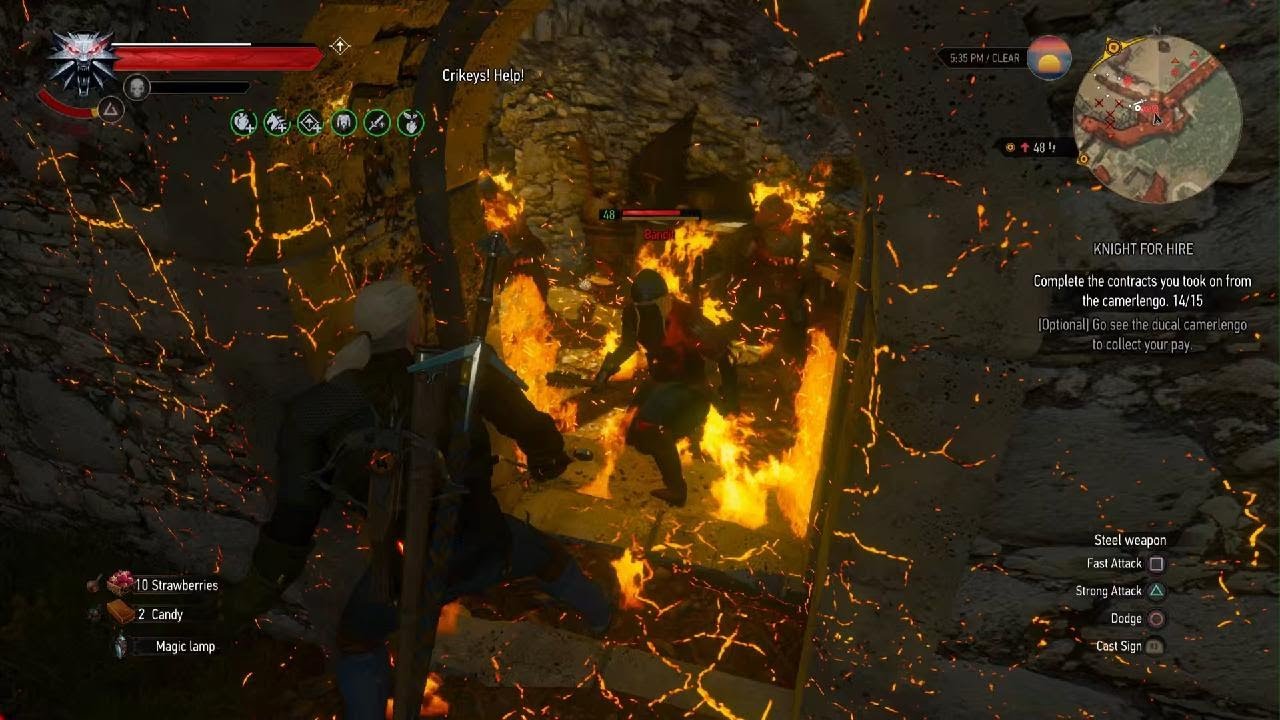 Fire is fun in Witcher 3.....