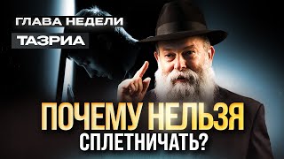 Ты должен понять другого человека! Глава недели Тазриа | Рав. Шмуэль Каминецкий