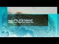 Dive in Phi Phi Island Phuket