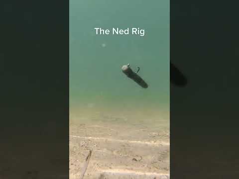Ned Rig Underwater