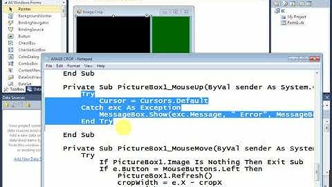 Image crop and Save it in vb.net