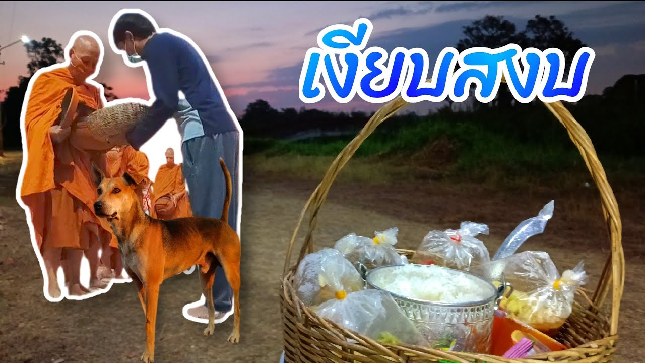 🔴🐼LIVE เงียบสงบในยามเช้าวันเสาร์ ทำบุญตักบาตร 7มี.ค #วัดมเหยงคณ์ #อยุธยา #Nopนพพลสตอรี่