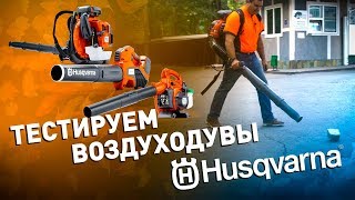 картинка: Обзор и тест воздуходувок от Husqvarna