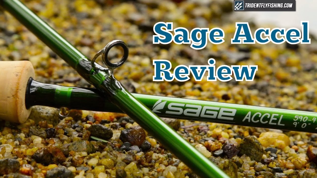 sage accel fly rod