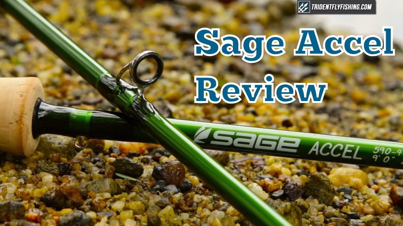 Sage Accel Fly Rod Review 