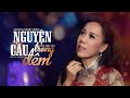 MV Nguyện Cầu Trong Đêm St Nguyên Thảo Tb Mai Thiên Vân