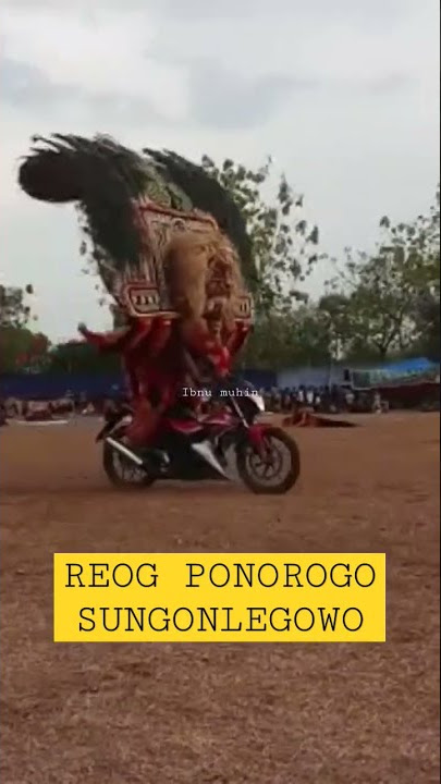 viral ‼️ reog naik motor keliling lapangan