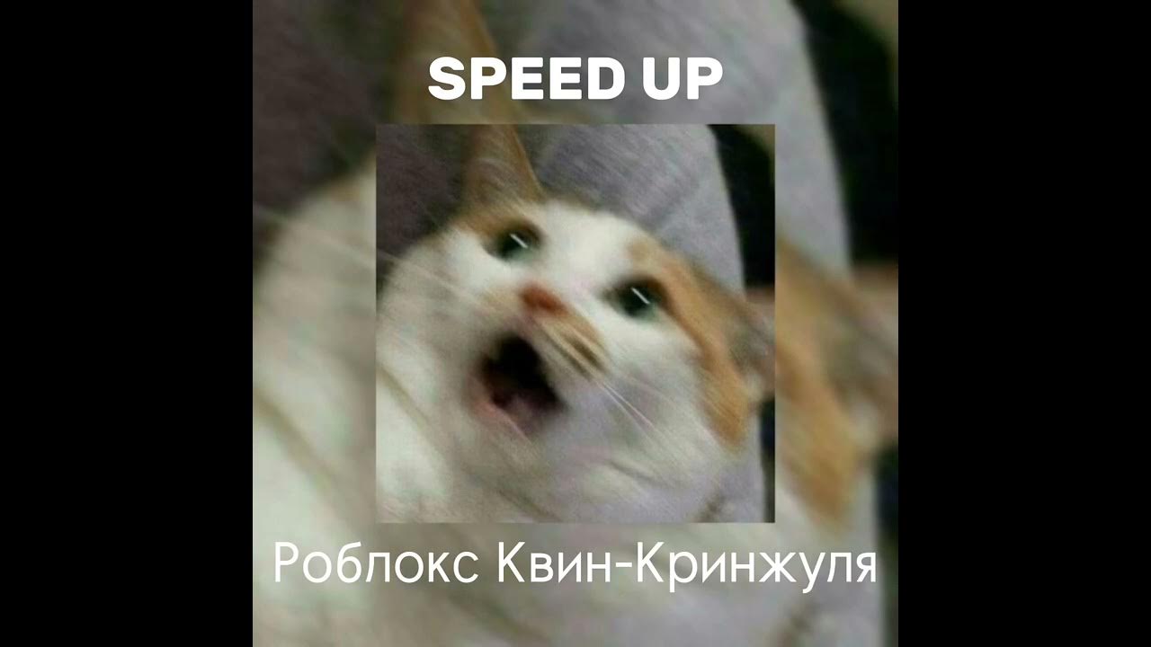 песня кринжуля роблокс квин текст. аватарка роблокс квин. песня кринжуля роблокс квин текст. песня кринжуля. юля роблокс квин.